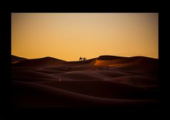 Sunrise in the dunes