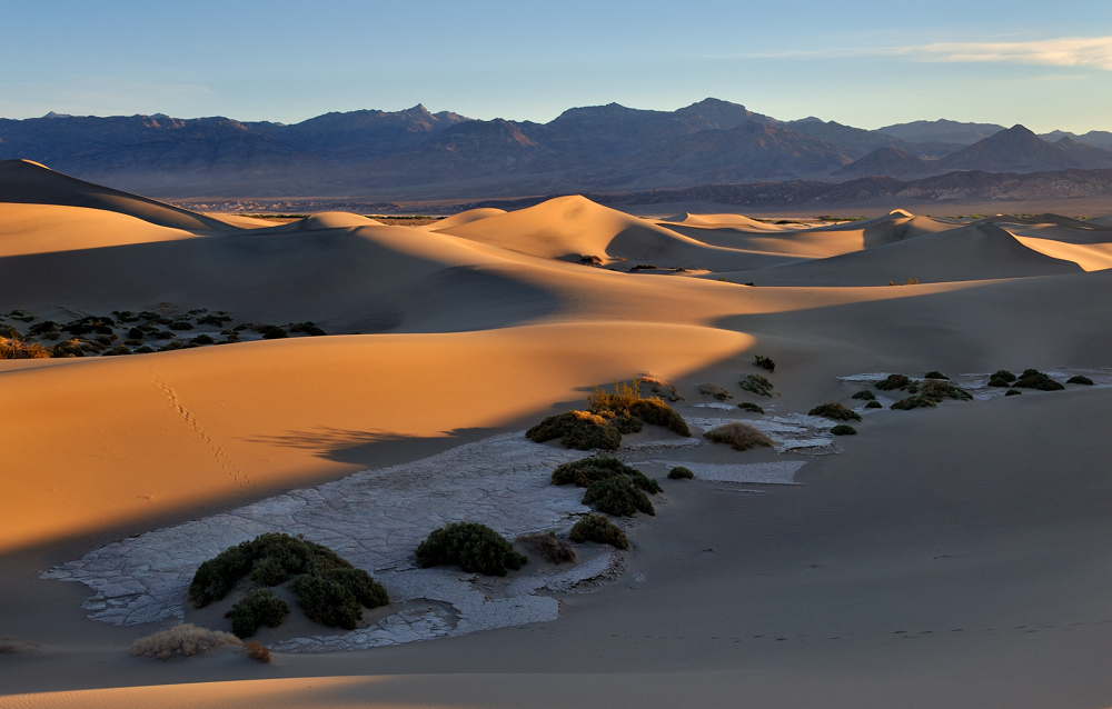 *sunrise in the dunes*