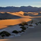 *sunrise in the dunes*