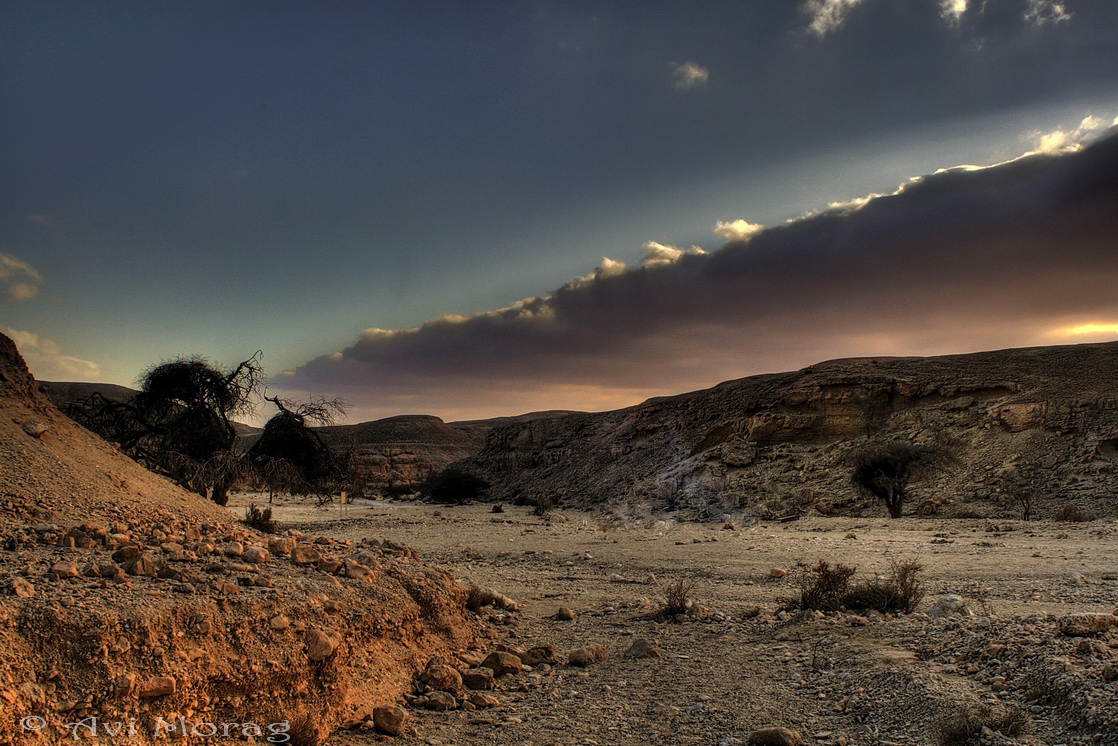 Sunrise in the Judean desert