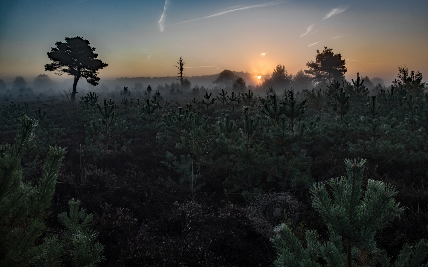 sunrise in the moors ..