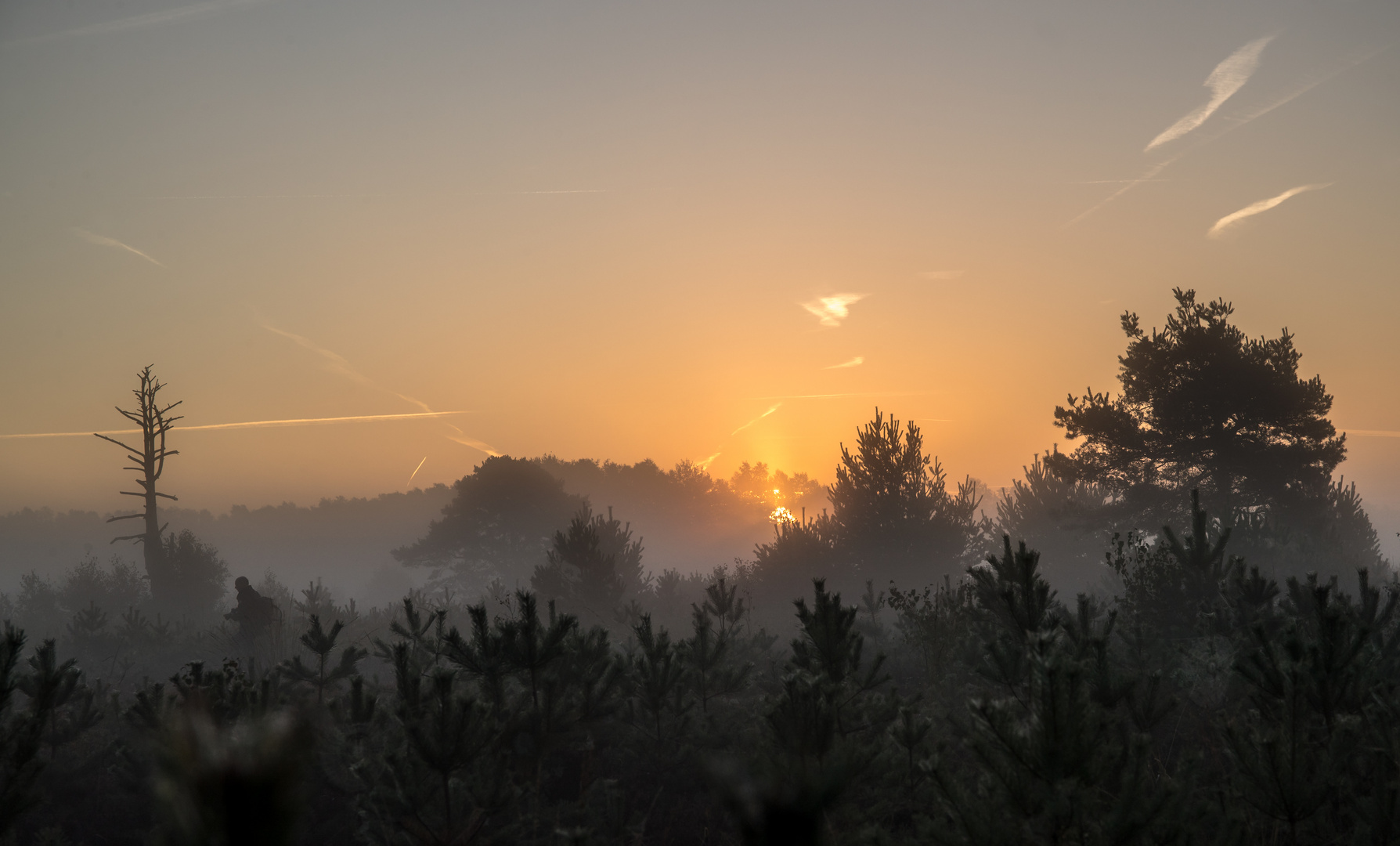 sunrise in the moors *