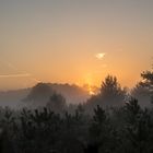 sunrise in the moors *