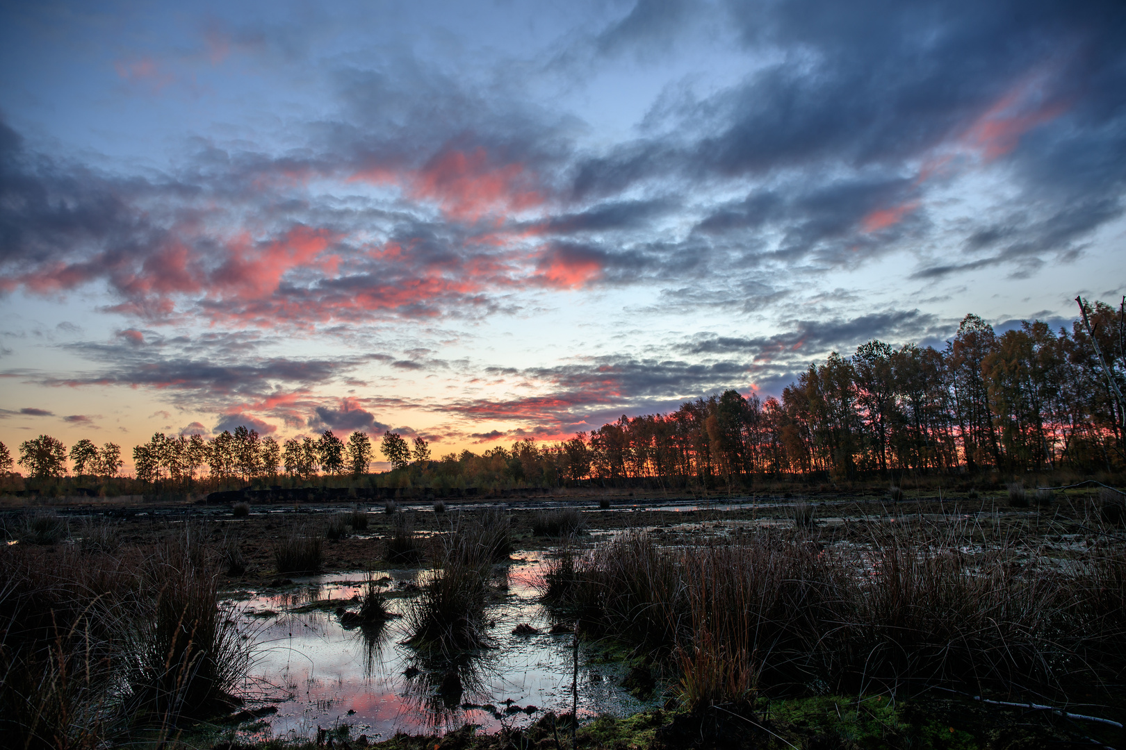   * sunrise in the moors *