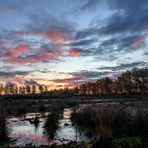   * sunrise in the moors *