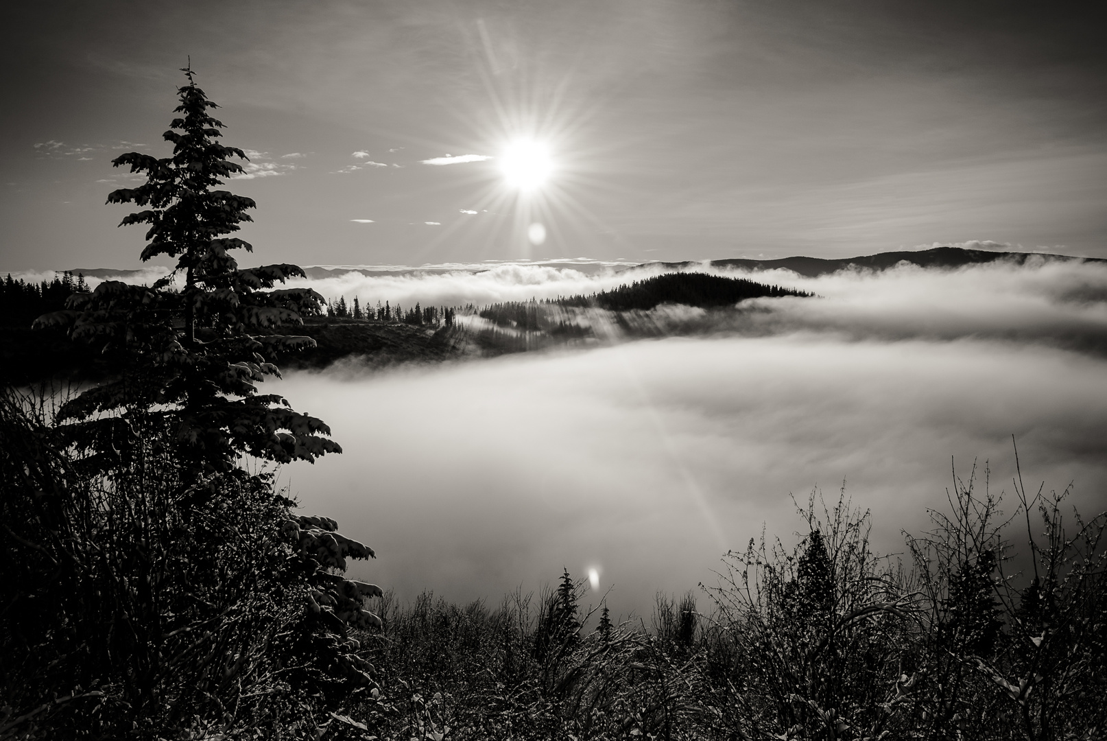 Sunrise in the Mountains