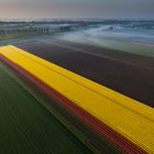 Sunrise in the Netherlands