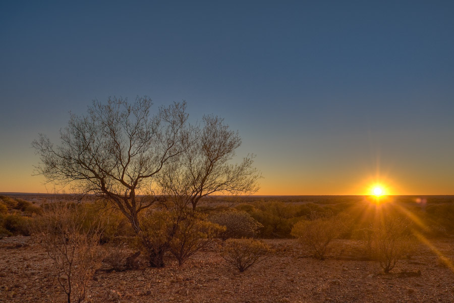 Sunrise in the Outback