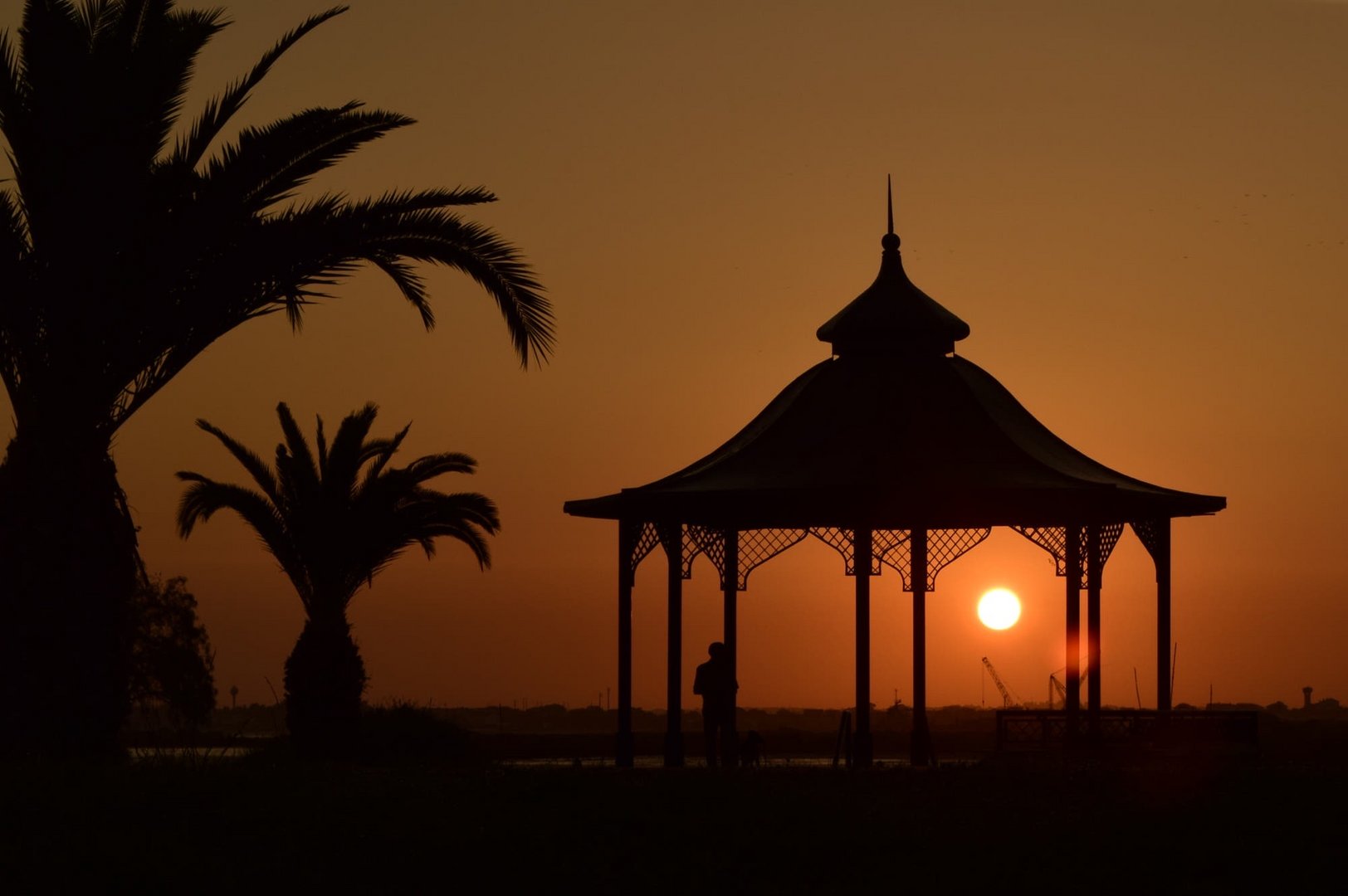 Sunrise in the park