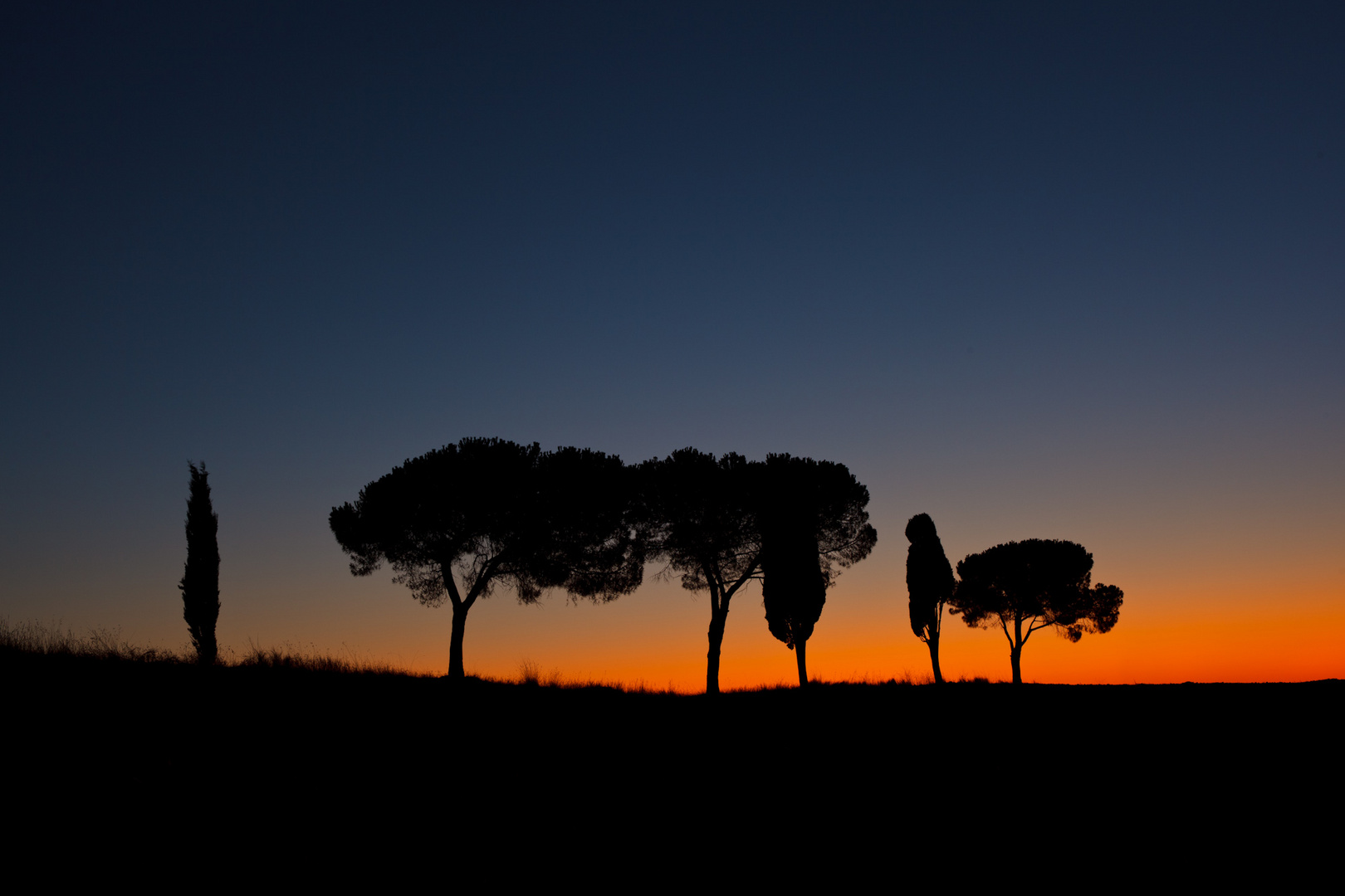 Sunrise in Tuscany