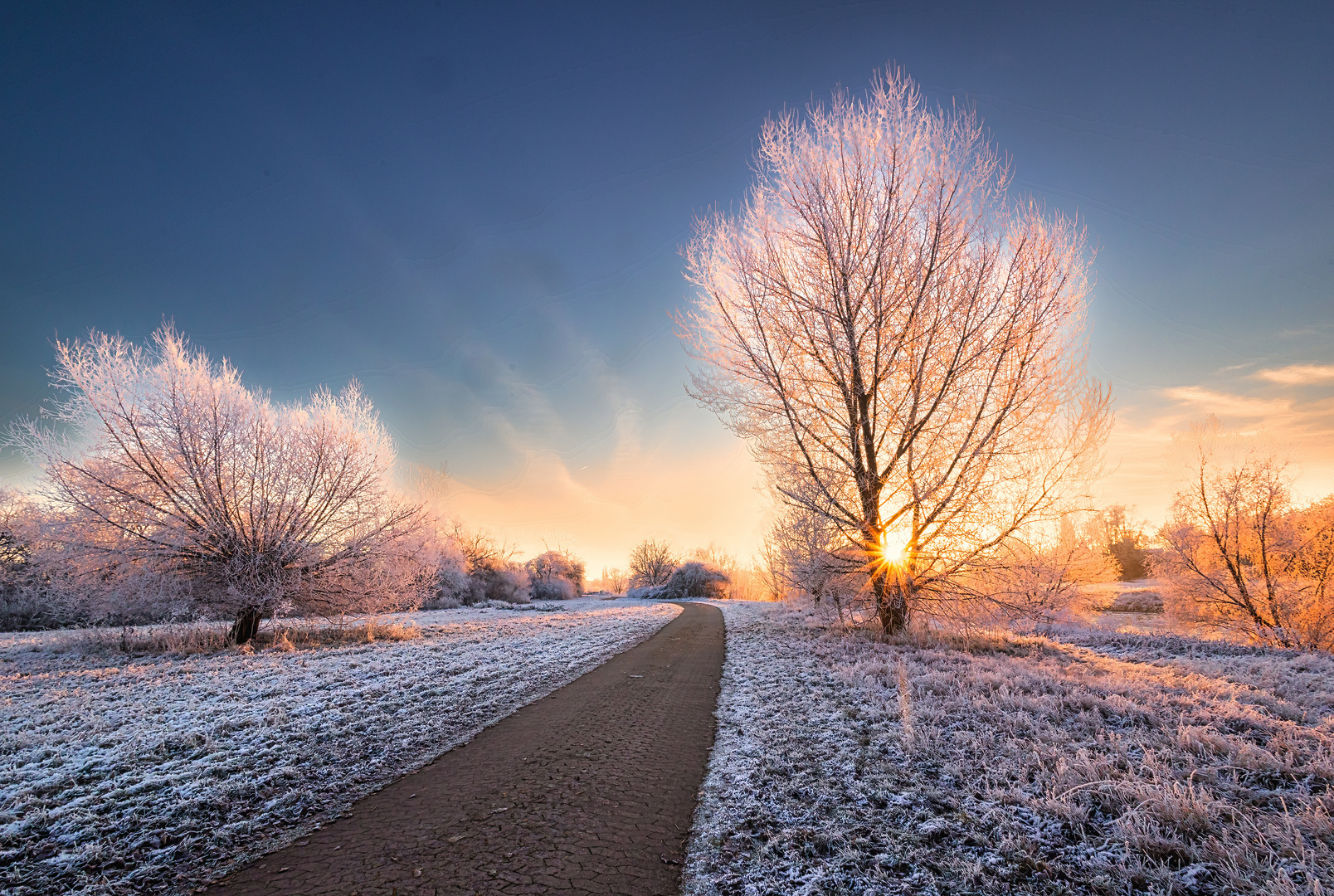 Sunrise in winter