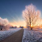 Sunrise in winter