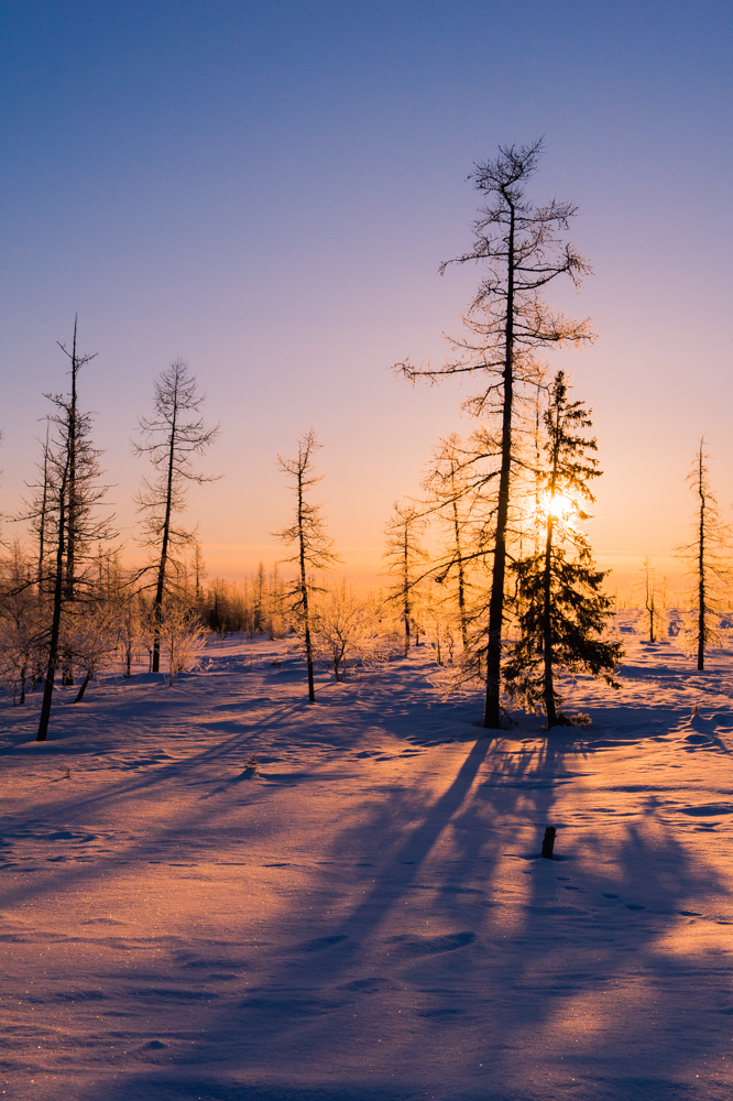 Sunrise in Yamal, Sibirien