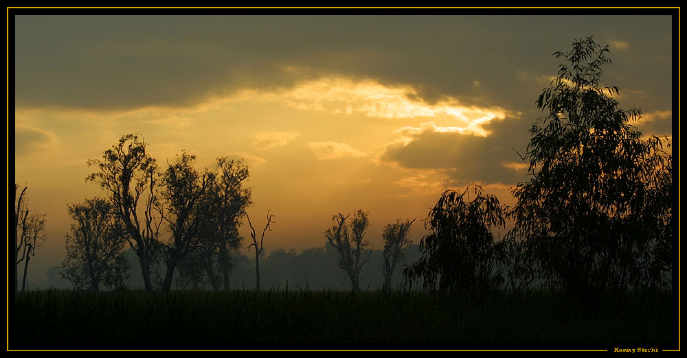 sunrise kakadu n.p.