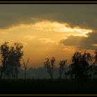 sunrise kakadu n.p.