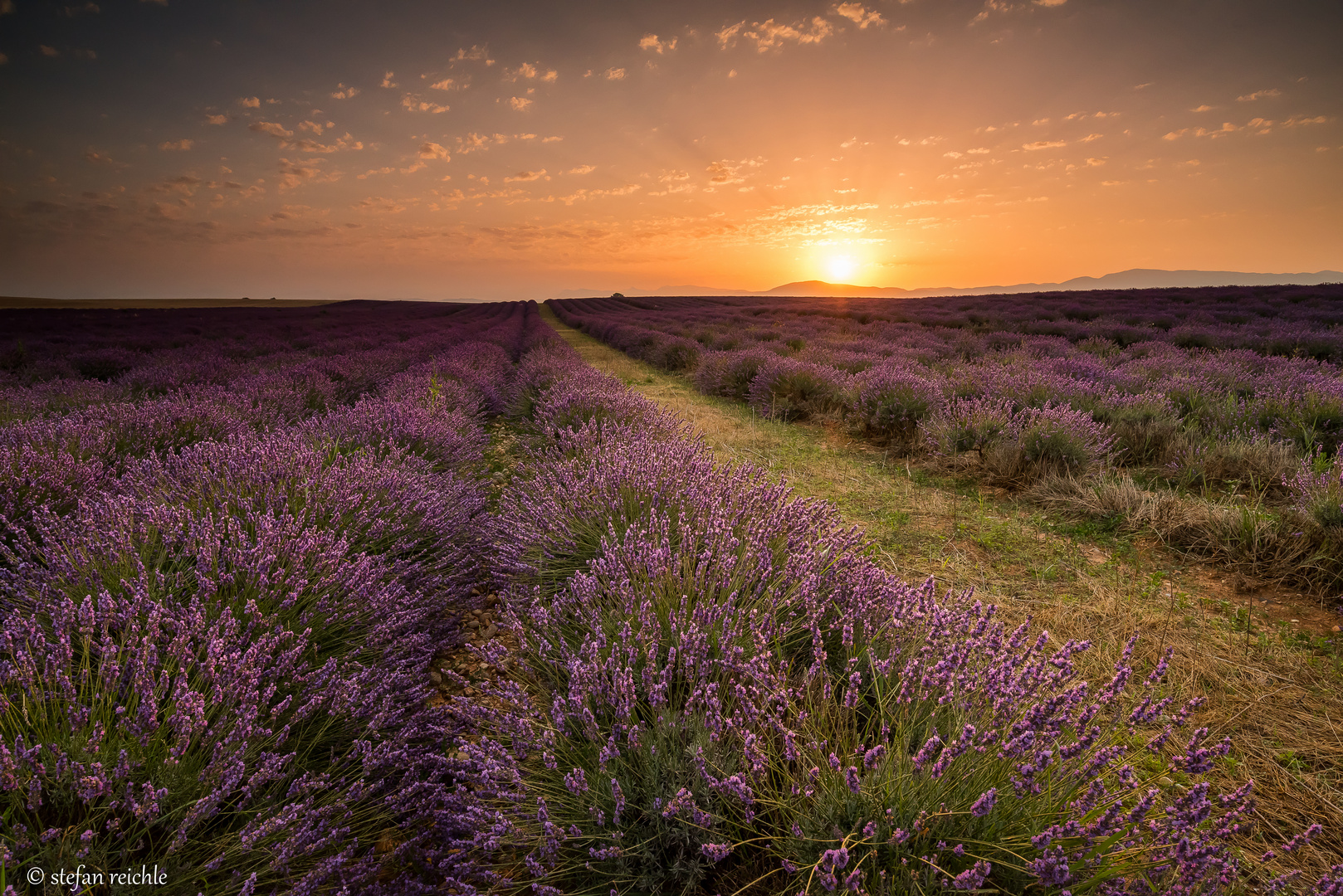 Sunrise Lavendelarea Valensole