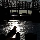 Sunrise Manhattan Queensboro Bridge 