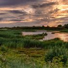 Sunrise -  Naturschutzgebiet Meldorf