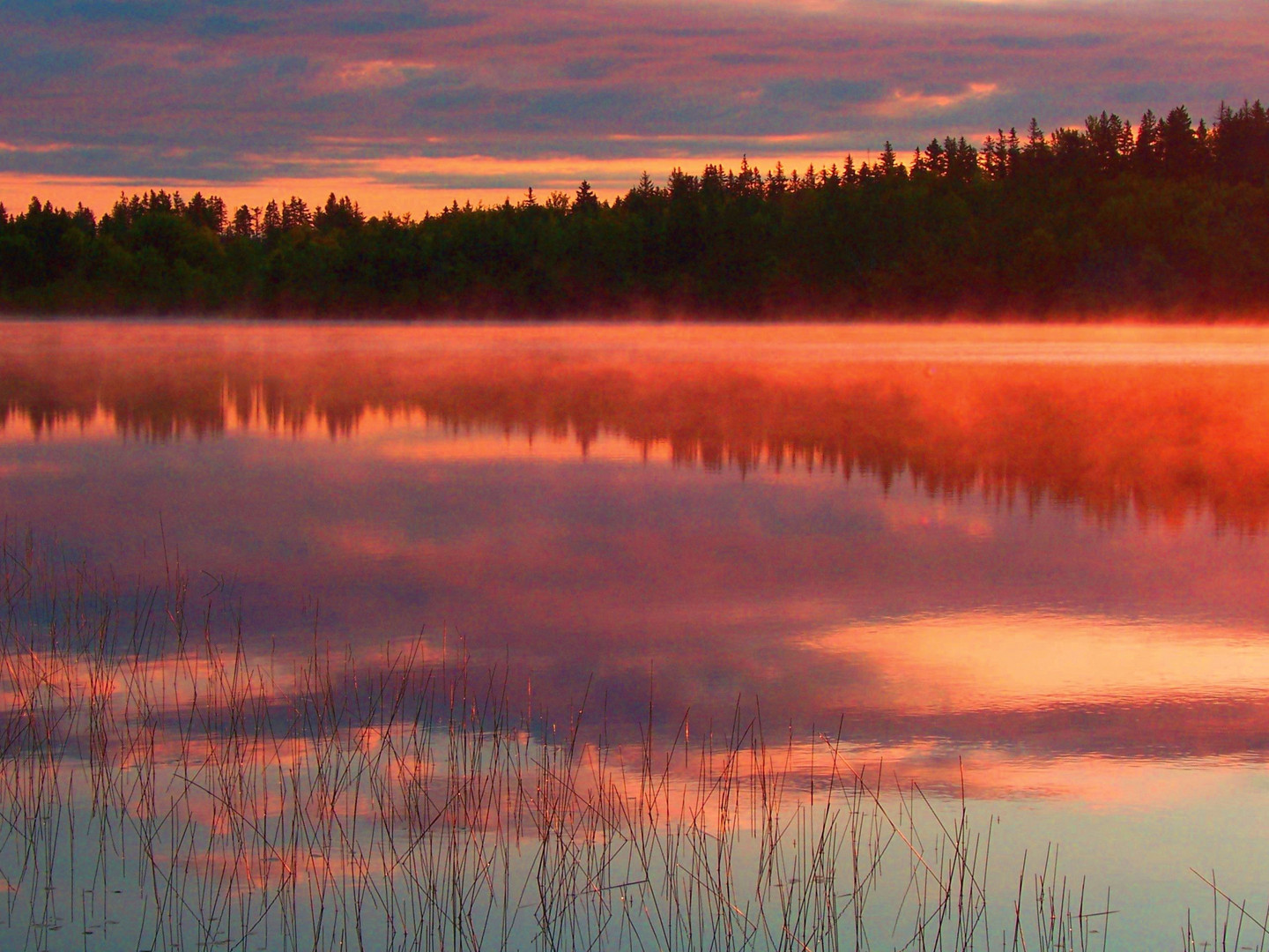 Sunrise on a misty lake