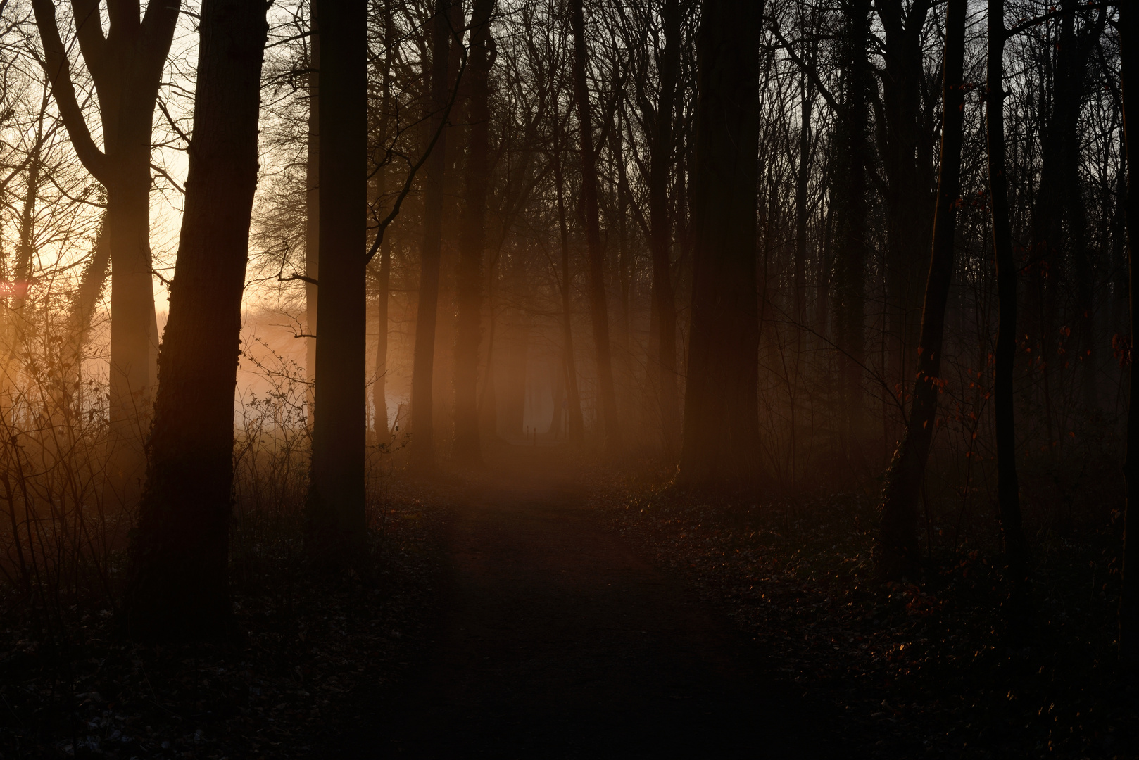 Sunrise on a misty path