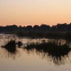 Sunrise on first of January 2005 - Mamili NP