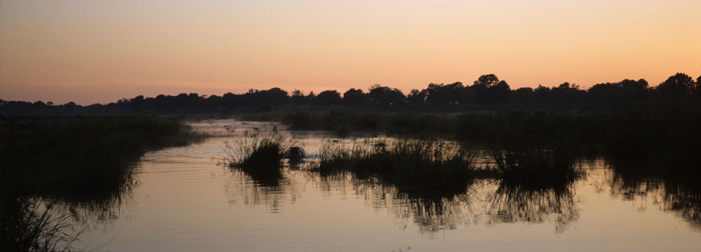 Sunrise on first of January 2005 - Mamili NP