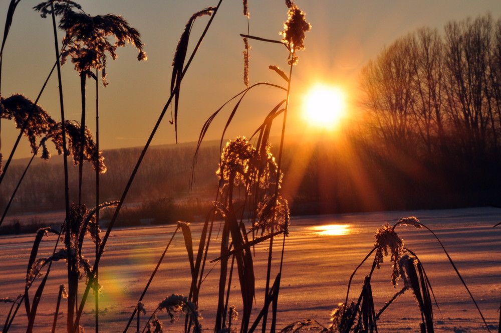 Sunrise on ice