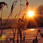 Sunrise on ice