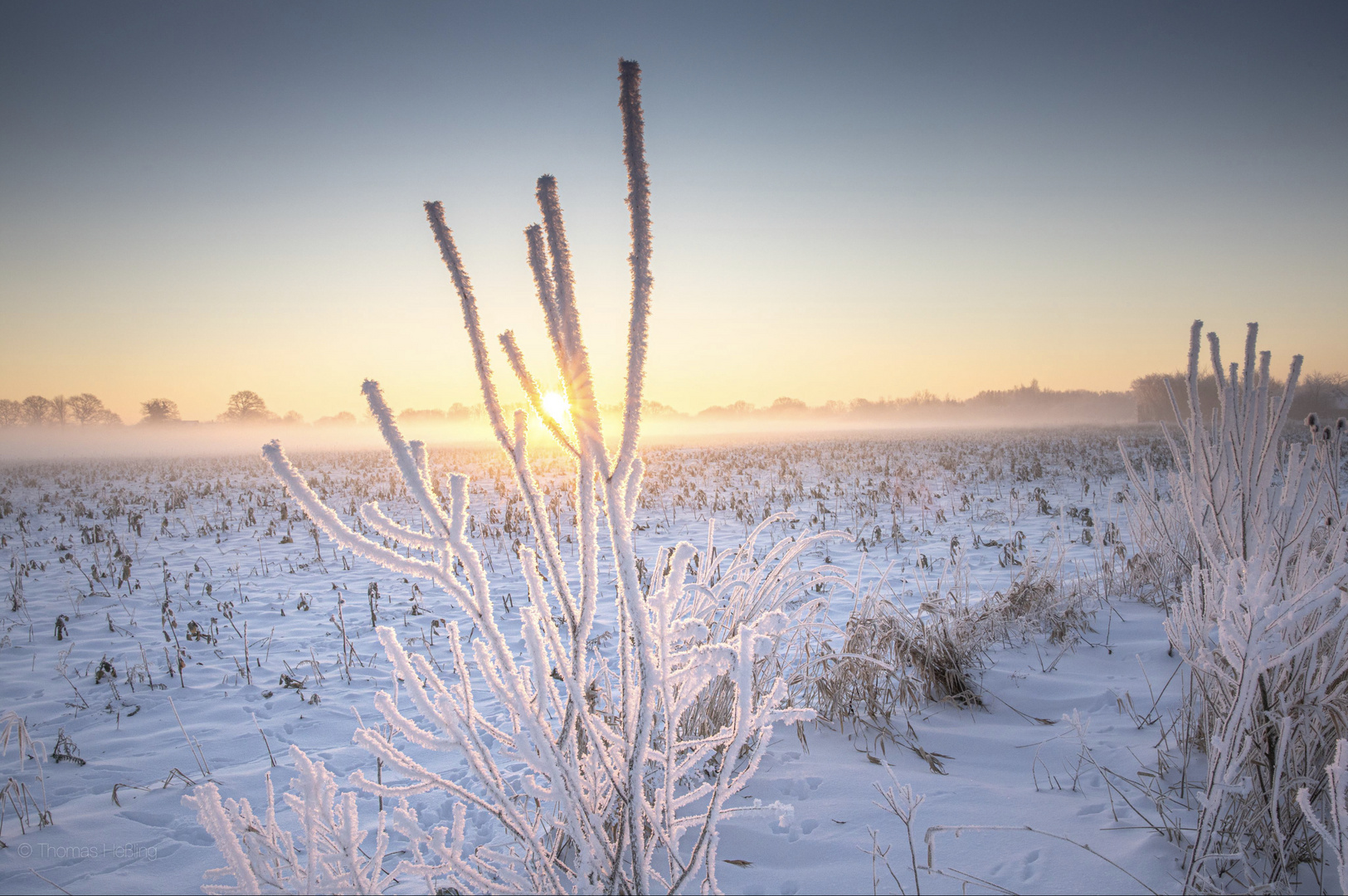 Sunrise on ice.