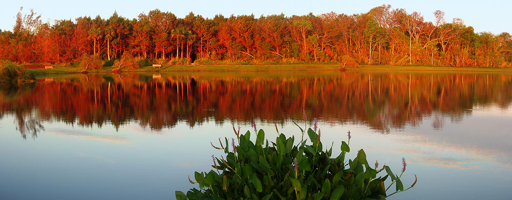 Sunrise on Lake