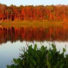 Sunrise on Lake