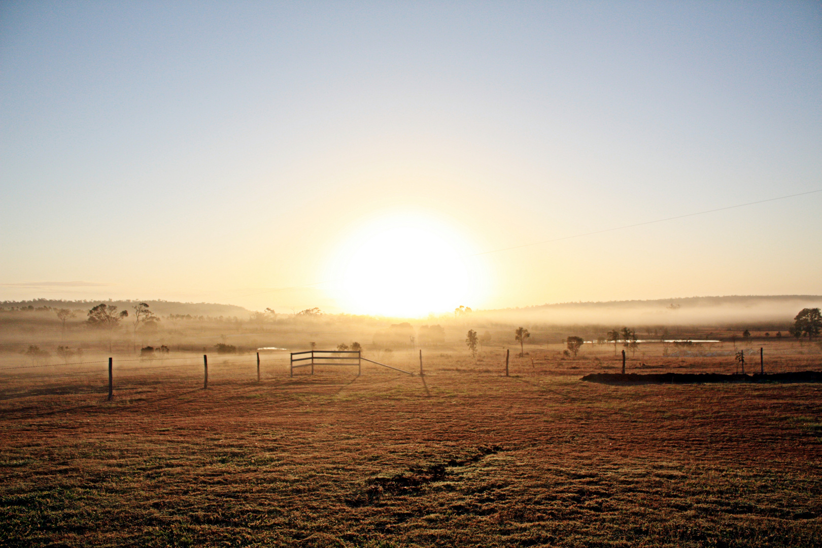 Sunrise On Pakington