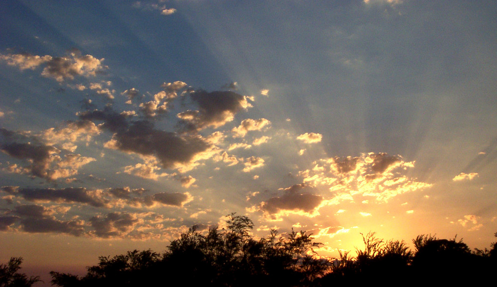 Sunrise on the farm