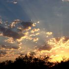 Sunrise on the farm