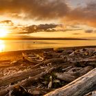 sunrise on the island welcome to camano island