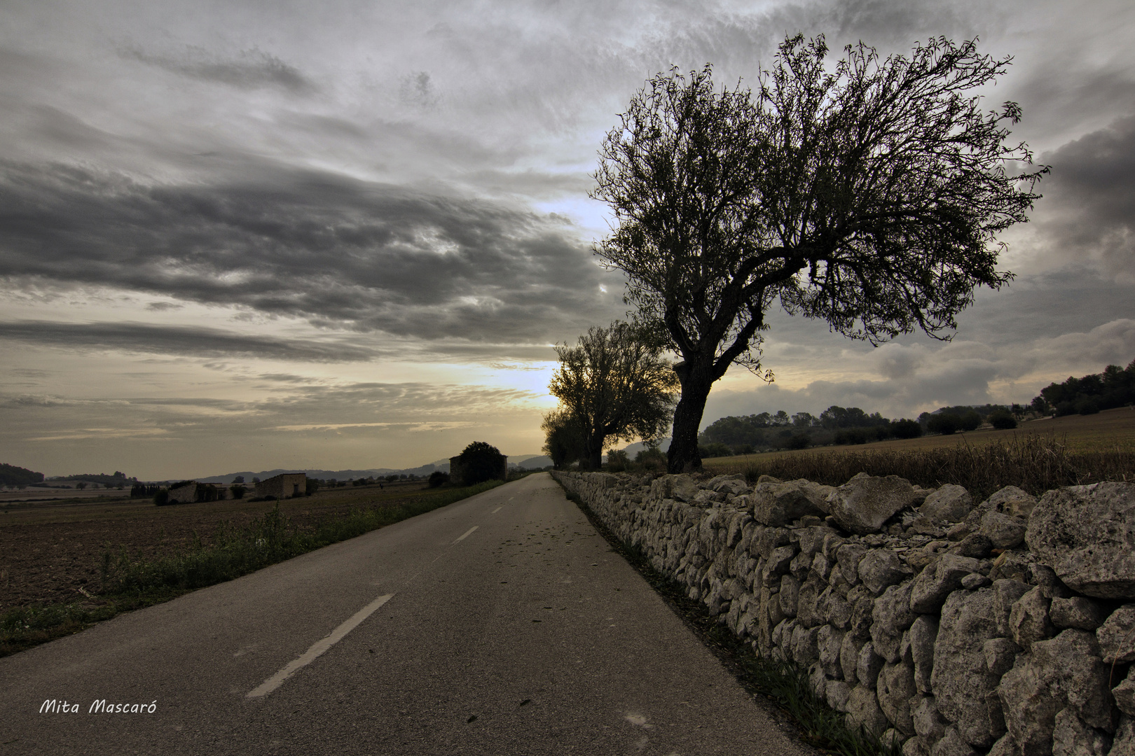 Sunrise on the road