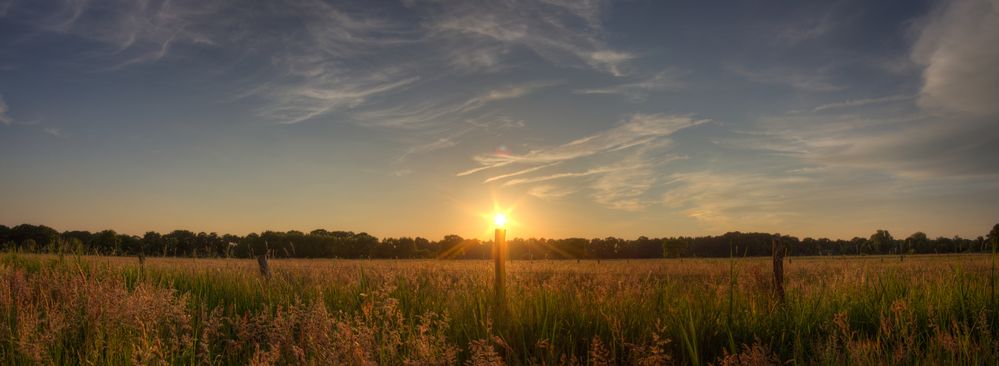 Sunrise on wood