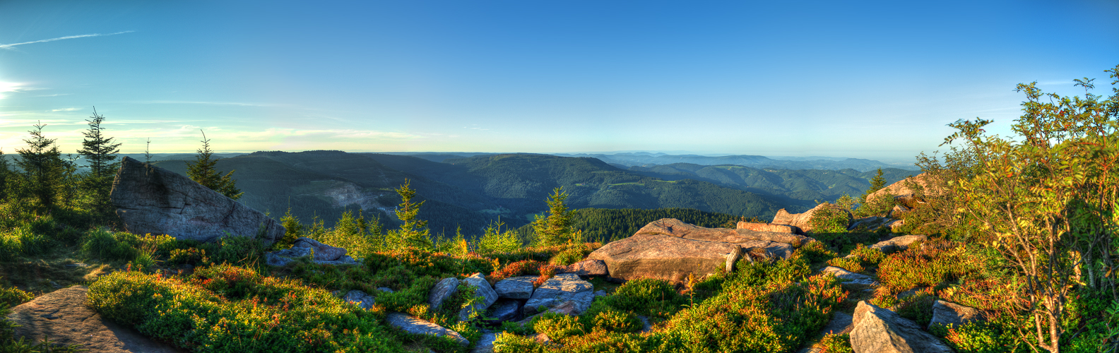 Sunrise over Black Forest