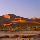 Sunrise over Dunes