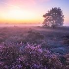 Sunrise over Moorland