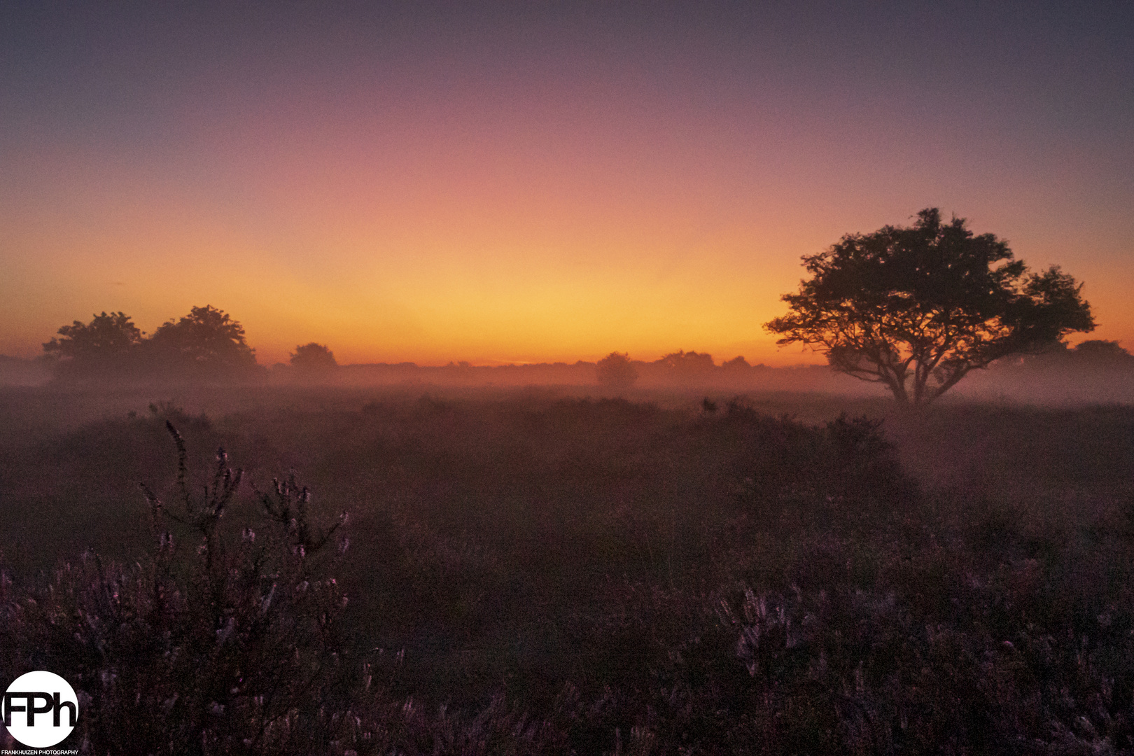 Sunrise over Moorland