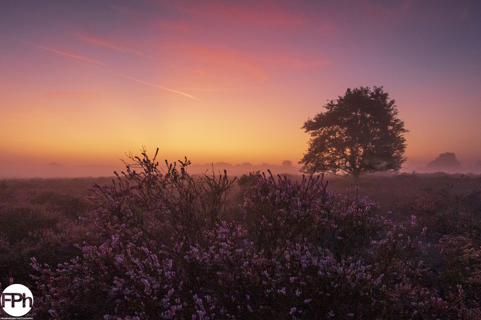 Sunrise over Moorland