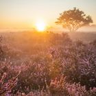 Sunrise over Moorland II