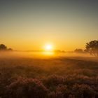 Sunrise over Moorland III