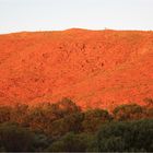 *** Sunrise over red Rhyolite ***