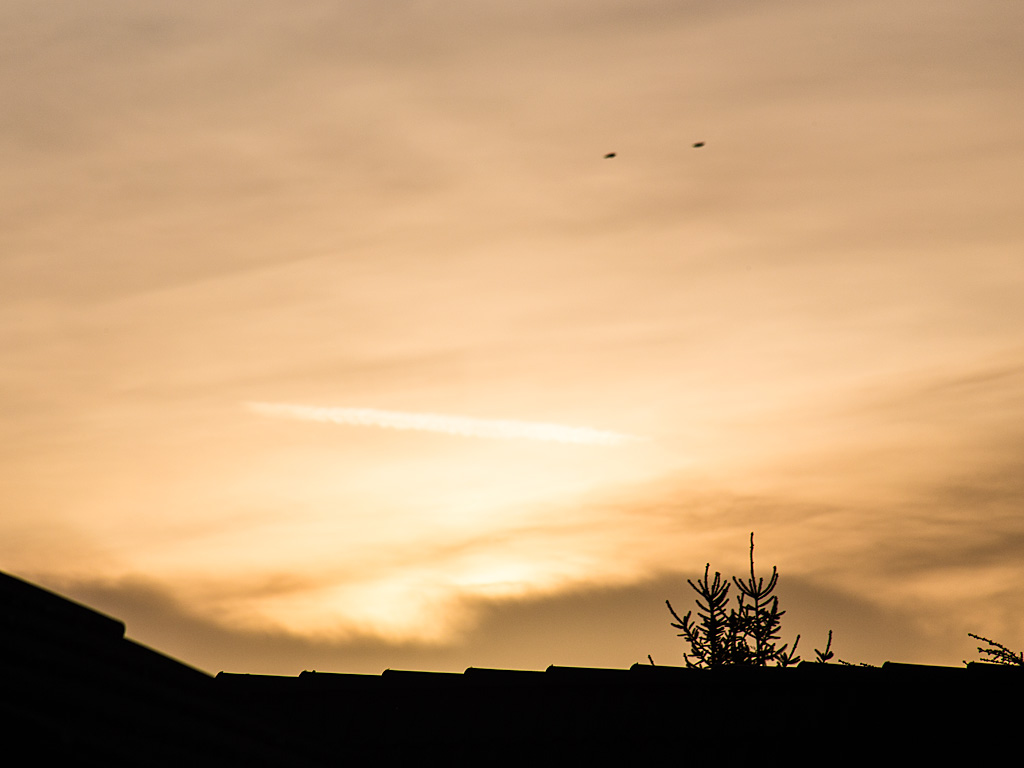 Sunrise over Schönebeck (1)