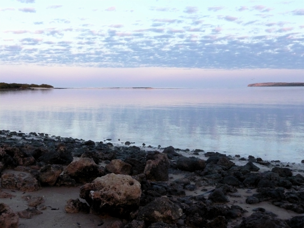 Sunrise over Shark Bay