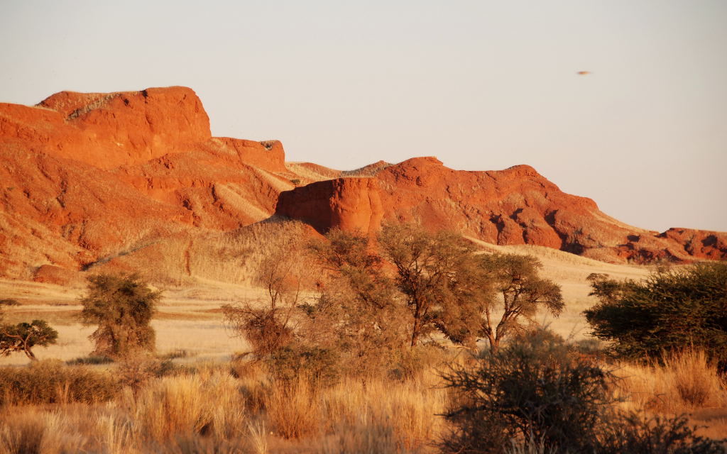 Sunrise over the Petrified dunes