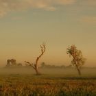 Sunrise over Yellow Water