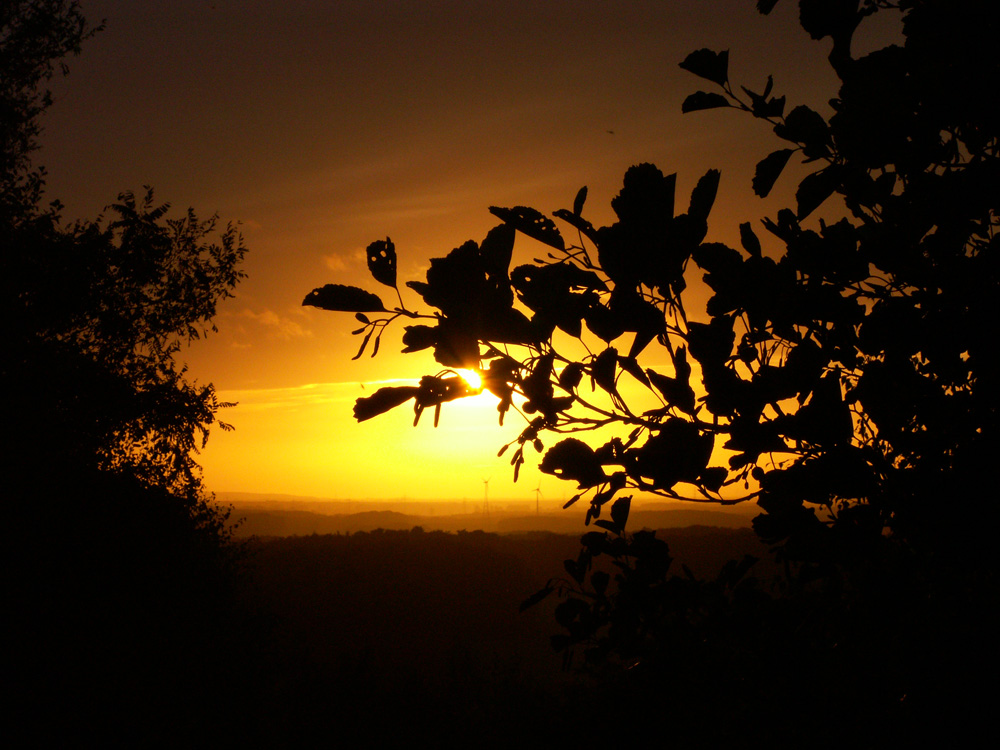 sunrise piesberg